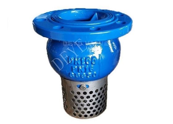 PN16 PN10 Cast Ductile Iron Foot Check Valve With Stainless Steel Screen