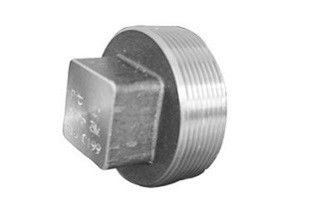 Stainless Steel 316 304 High Pressure Pipe Fittings With Square Plug