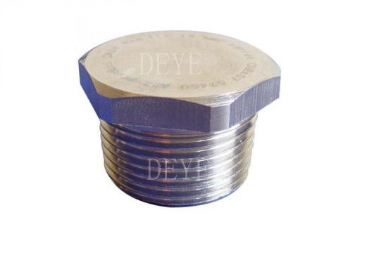 SS201 SS304 Screwed SS Threaded Pipe Fittings With Hex Plug