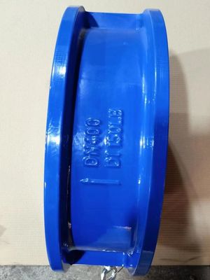 Fully Rubber Lined Wafer Check Valves With PN10 PN16 PN25