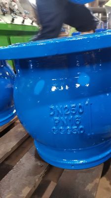 PN16 PN10 Cast Ductile Iron Foot Check Valve With Stainless Steel Screen