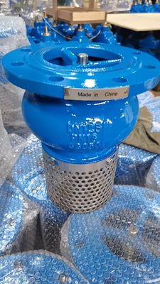 PN16 PN10 Cast Ductile Iron Foot Check Valve With Stainless Steel Screen